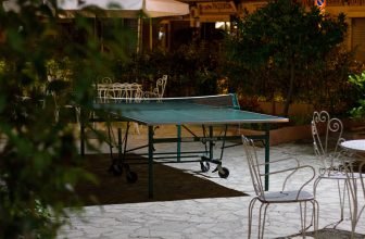 une table de ping-pong occasion